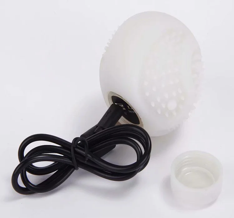 DOG WHITE FLASH BALL.jpg