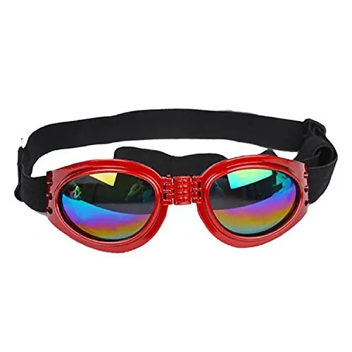 Dog Sunglasses-5.jpg