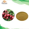 Pure natural Hawthorn Leaf berry extract powder with 5% Flavonoids