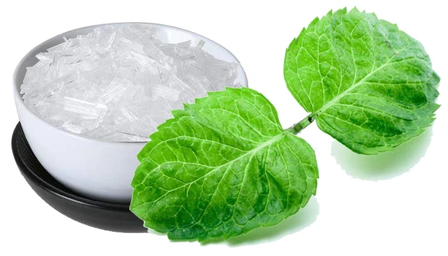2018 popular product natural menthol /peppermint camphor bulk