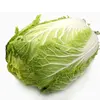 Leaf vegetable Chinese cabbage seeds heat resistance variety