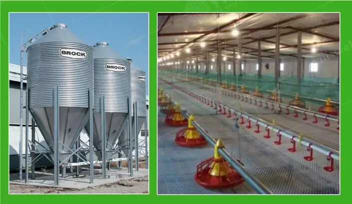 Prefabricated Light Steel Structure Broiler Poultry House for 10000 Chickens