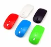 For Apple Style Cheap Price Flat Wireless 2.4G Oil Painting Computer Mouse