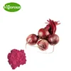 Beetroot juice powder or Beta vulgaris Juice powder