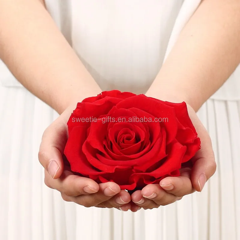 Romantic Flowers High Quality Real Natural Roses,Real Preserved Roses