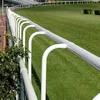 Fentech Fence Factory Supply, High Quality Horse Racing Rail, PVC Horse Race Track Fencing