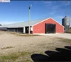 Lanying prefab steel structure chicken housing