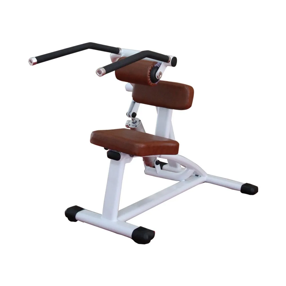back exercise machine price