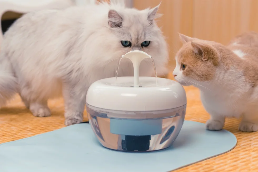 PAWOOF cat water fountain with a powerful filter hot selling Pawoof cat