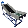 vegetable and fruit cleaning and sorting machine