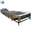 vegetable and fruit processing machinery washing equipment for photo/cabbage/spinach/edible rape/eggplant/rapeseed/onion/tomato