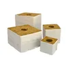 HORTIKING Hydroponic 6inch Grow Block Rock Wool