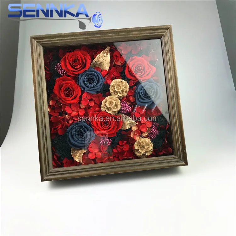 preserved rose (241)