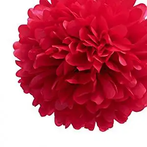 Buy Red Tissue Puff Flower Paper Pom Pom Party Decorations 10 3