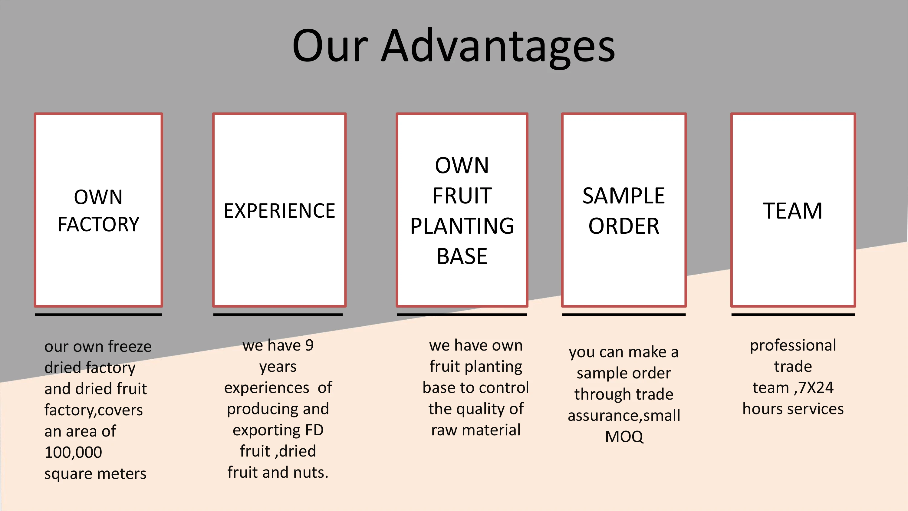 Chinese freeze dried peach  dried fruit organic yellow peaches