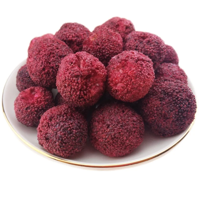 source natural freeze-dried whole bayberry fruit chinese red bay