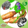 Kudzu Root/Kudzu Root Extract/pueraria mirifica extract powder