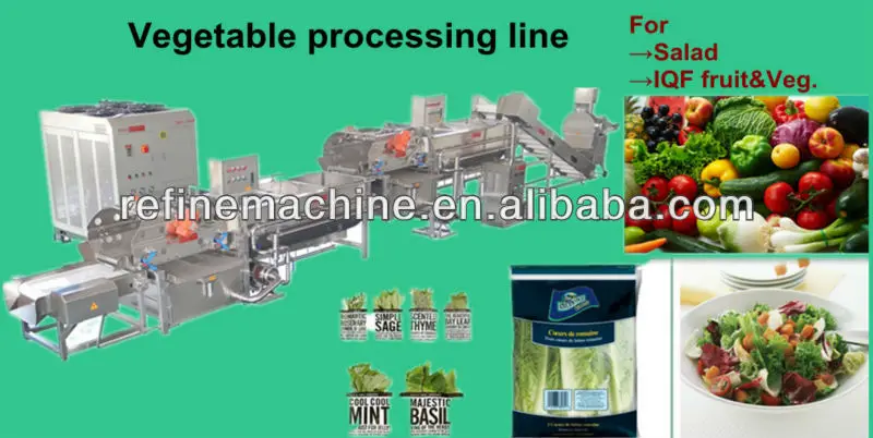 vegetable washing machine and draining machine/Salad/IQF