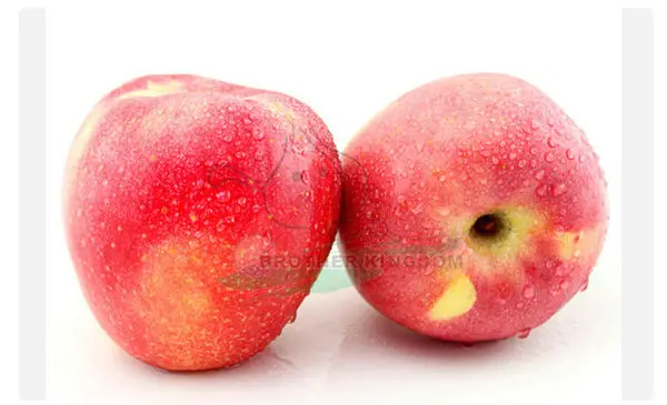 product new crop red gala apple/chinese apple fruit color rdd