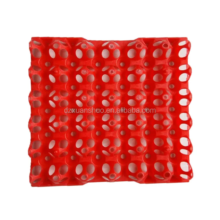 egg tray 2.jpg