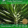100% Natural Foaming Agent Yucca Plant Extract