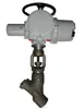 BW SW Flange End Connection Electric Globe Valve