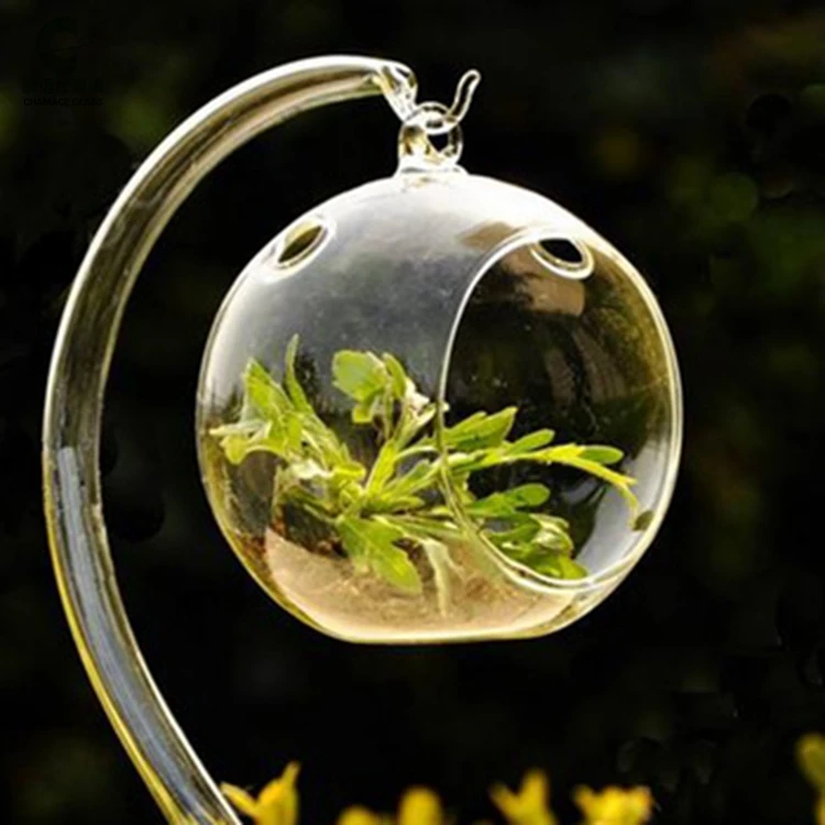 Hanging Glass Globes Air Plant Terrarium For Home Decor Buy Hanging