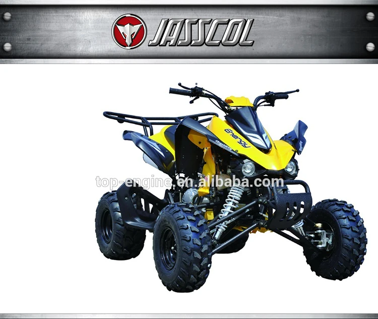 Hot Sale New Cheap 250cc Ce 10inch Racing Adult Electric 4 Wheel Quad