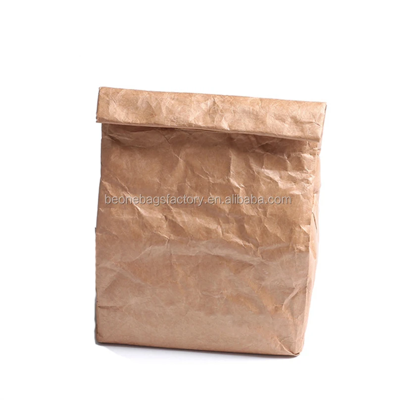 brown paper tyvek insulated lunch bag