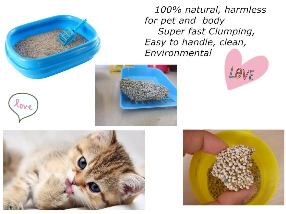 cat litter box use