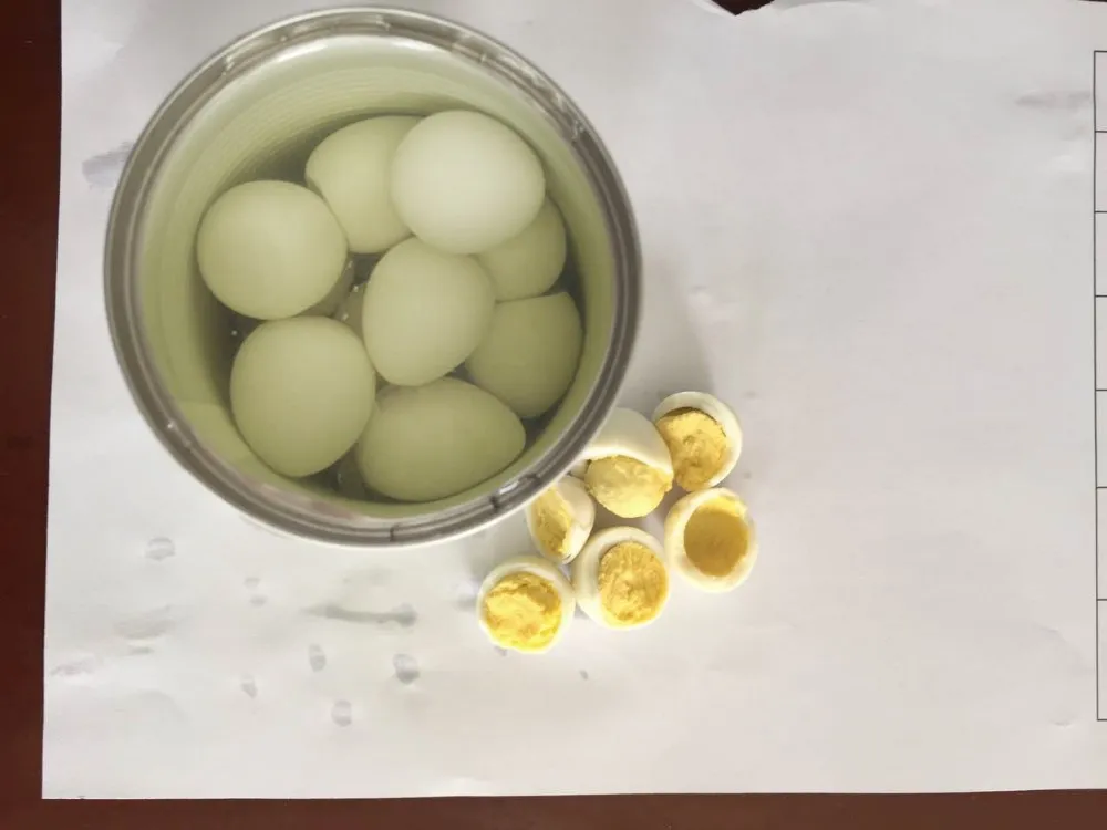 Canned Quail Eggs In Water With Cheap Price Buy Fresh Quail Eggs