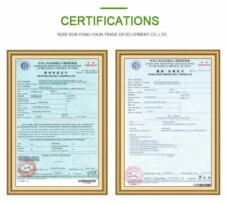 New designed flower plant protection uneven black bamboo border edge