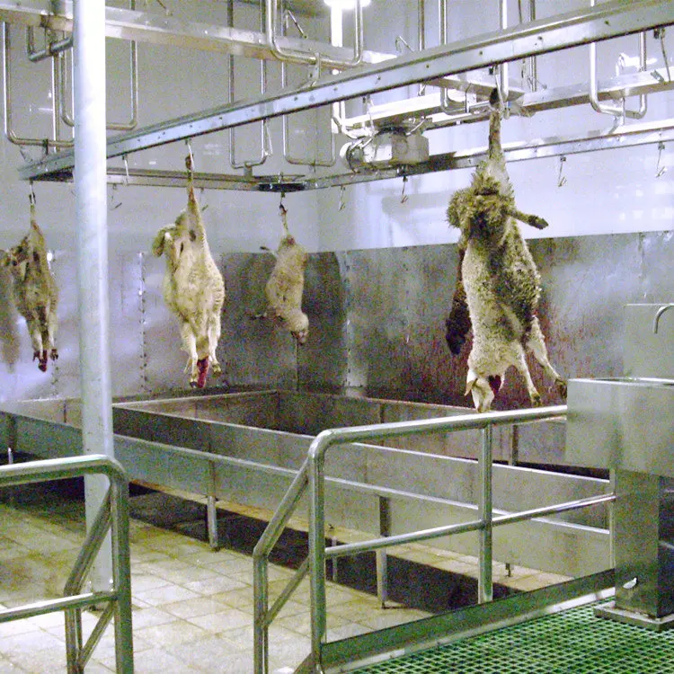 Sheep Goat Abattoir Slaughter Machinery For Sheep Slaughter House Buy