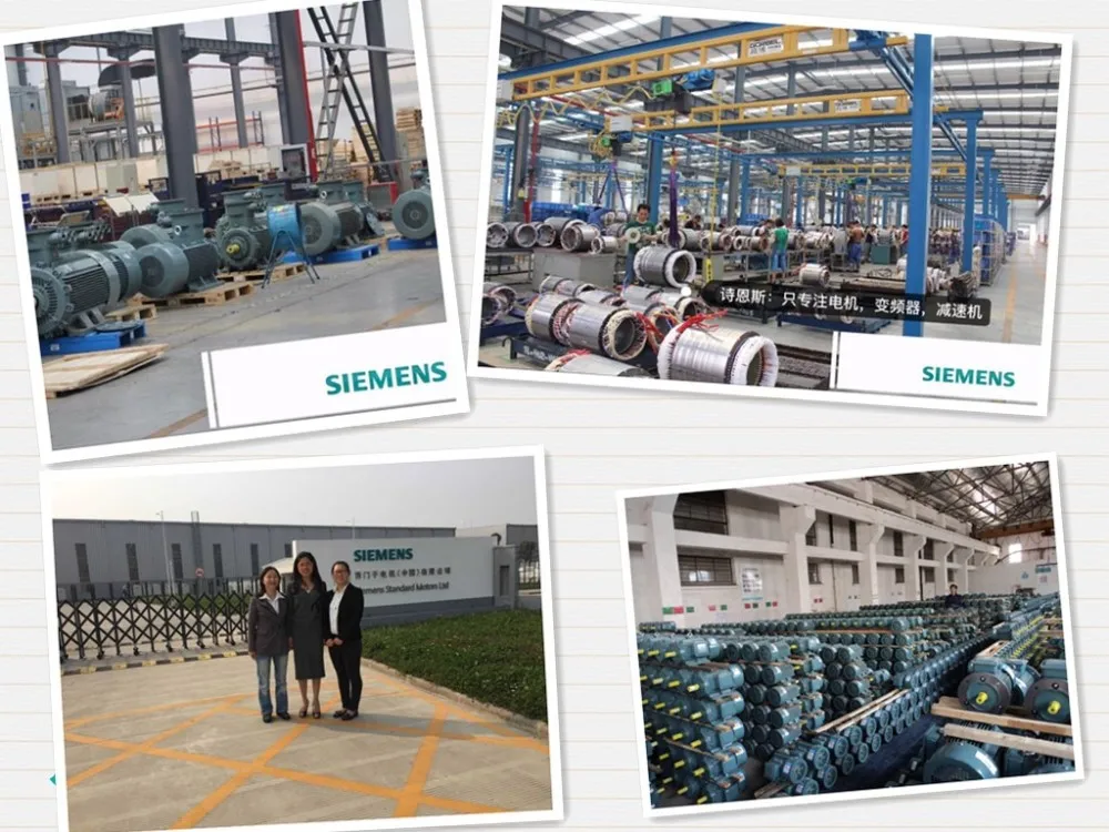 Siemens Brand Aluminum Housing Electric Motor 0.55kw 0.75kw 1.1kw 1.5kw