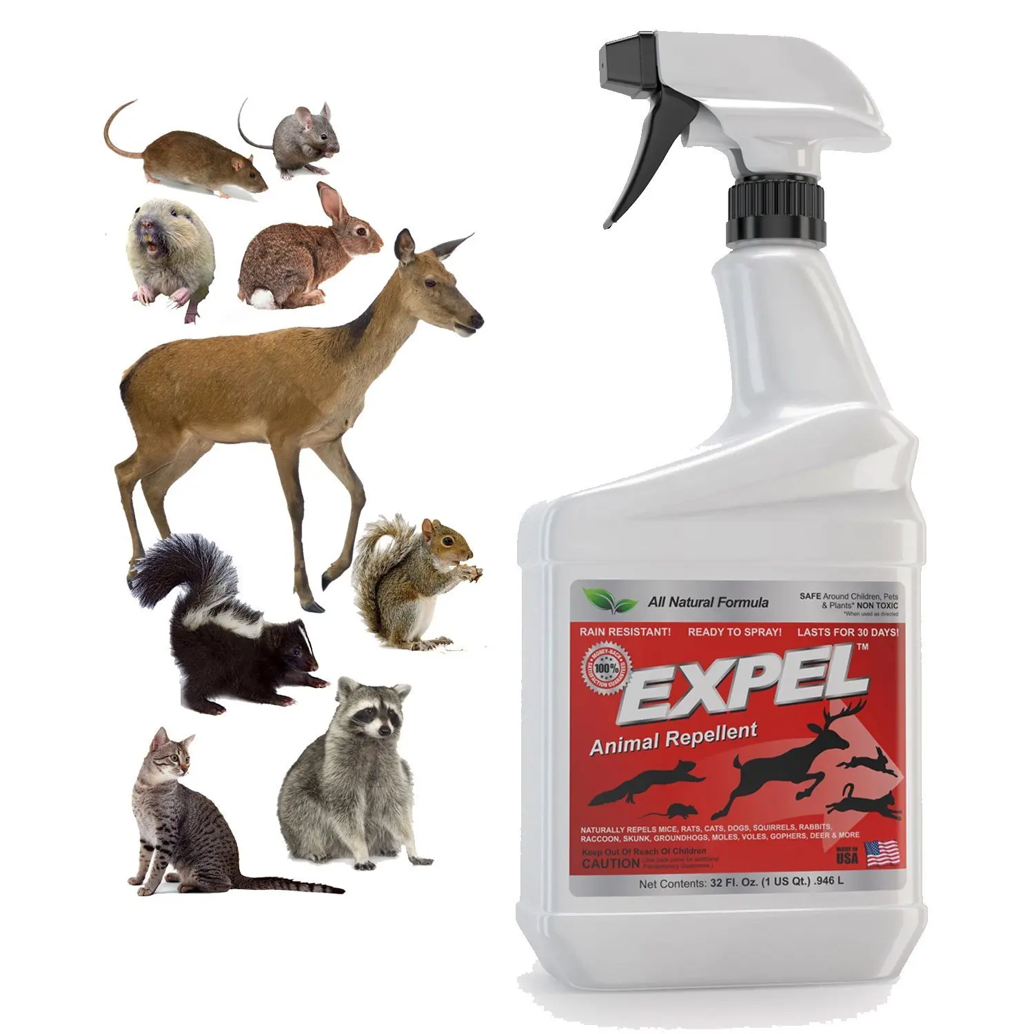 Cheap All Natural Rodent Repellent, find All Natural Rodent Repellent