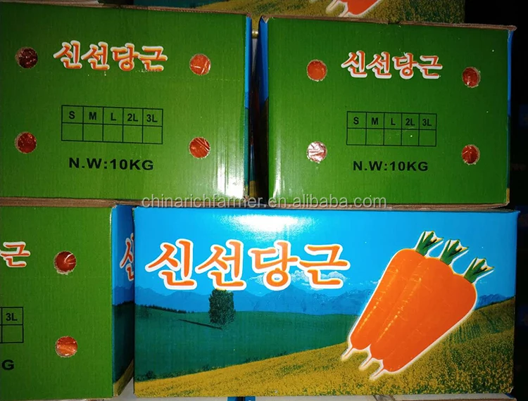 carrot-m-10(6).jpg