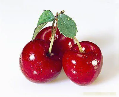 احمر كالكرز//القتلة 100-natural-High-quality-Acerola-cherry-extract