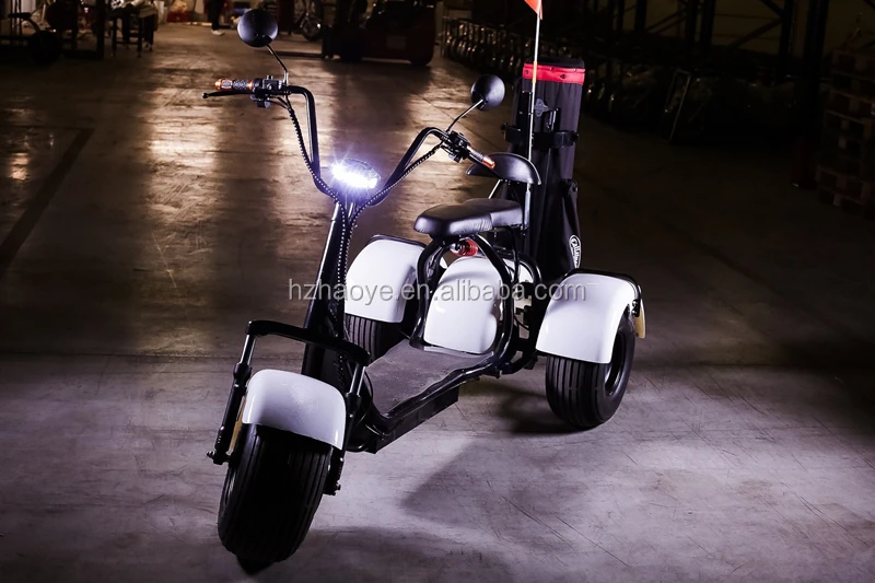3 wheel citycoco white6.jpg