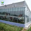 Planting Glass Greenhouse with Various Fruits, Tomatoes, Sweet Potatoes and Other Crops