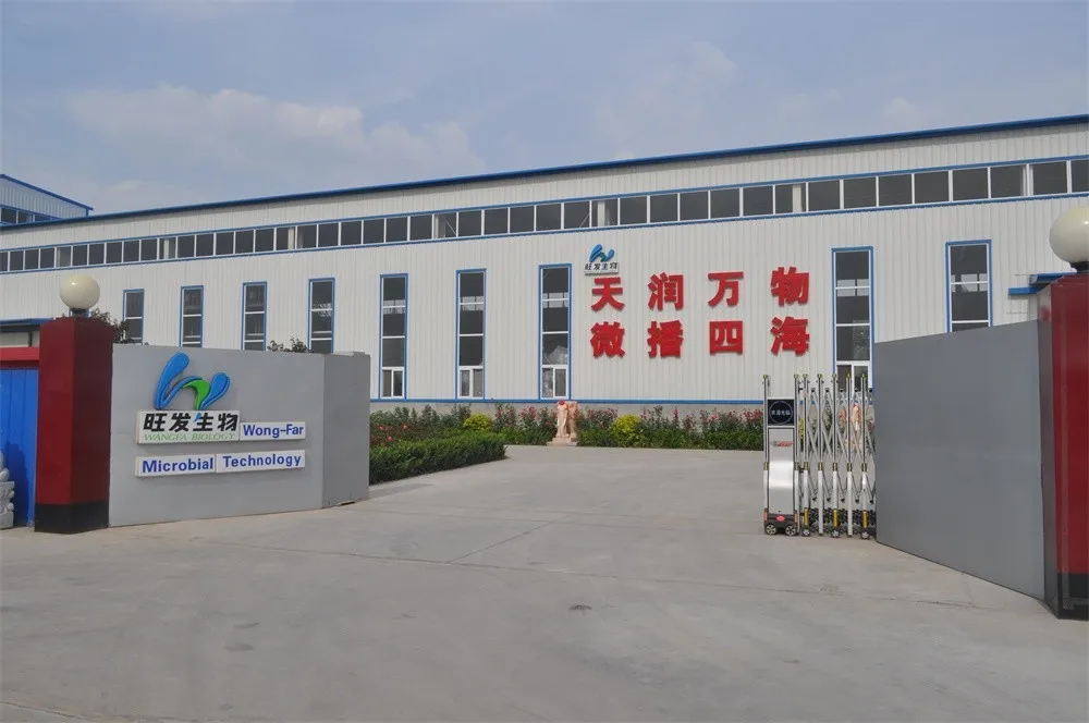 wangfa factory.JPG