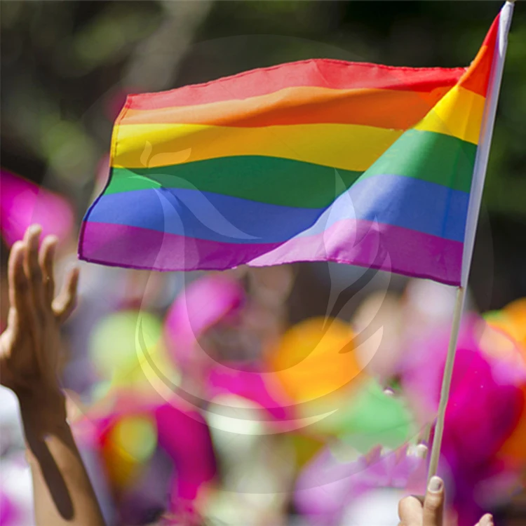 Rainbow Gay Pride Flag