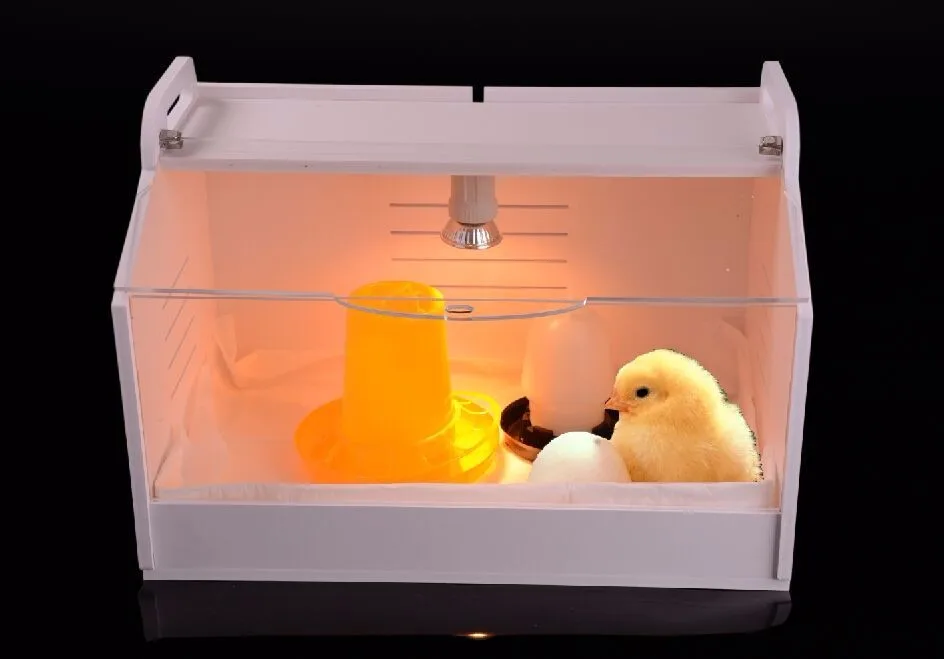 Manufacturer Highly Heatresistant Heating Lamp For Warming Animals