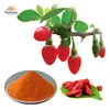 Dried goji berry wolf berries polysaccharide powder chinese wolfberry extract Lycium barbarum