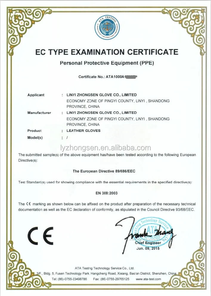 leather glove CE.JPG