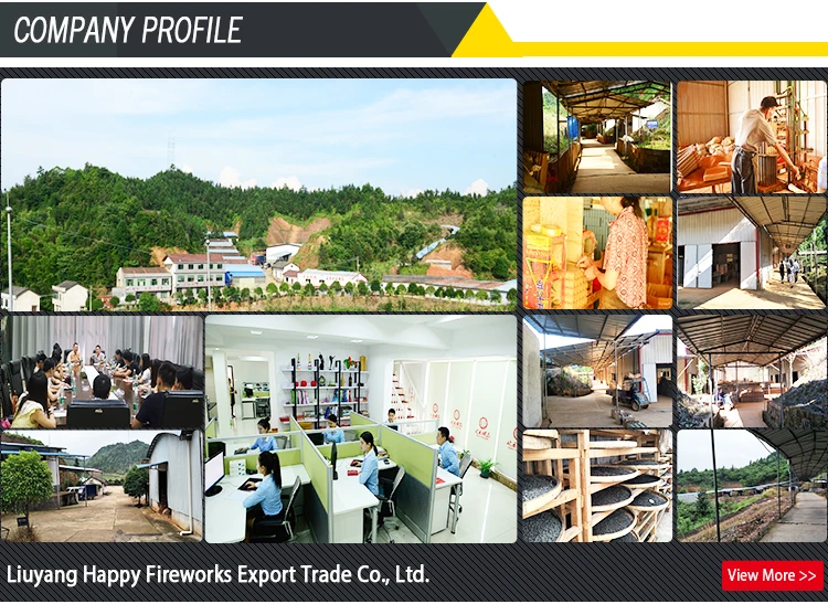 Company Profile