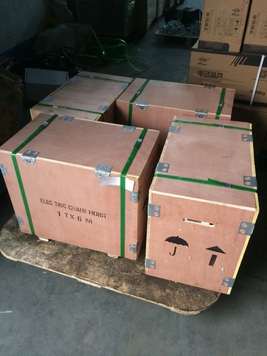 electric hoist packing.jpg