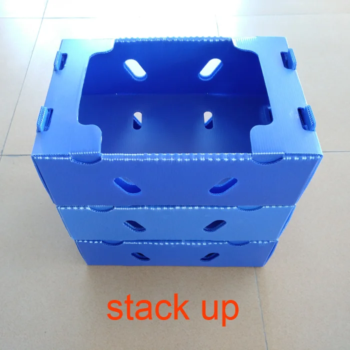 Polypropylene Corrugated Plastic Stackable Fruit Boxes For Berries