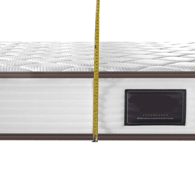 Sleepwell Water Mattress Fabric Feather Foam Bed Mattress Price Buy