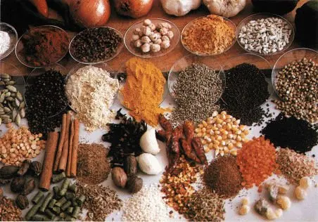 indonesian spices