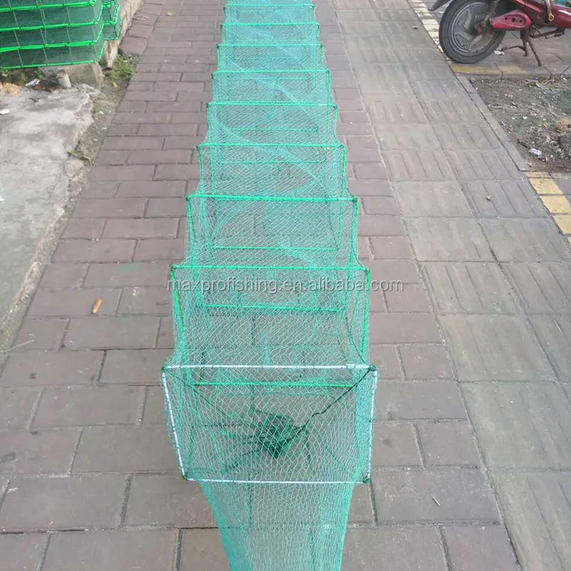 eel trap (5).jpg